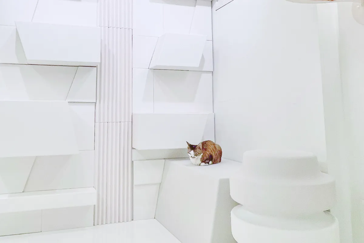 猫カフェ内装設計事例