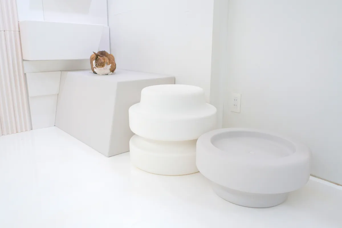 猫と人が自然にくつろげる空間